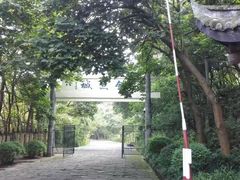 -WFC会仙楼观景台