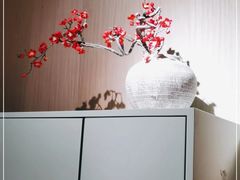 -梅花境(万科店)