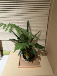 -Dr.林醫生产后修复·配方产康(南京江宁万达店)