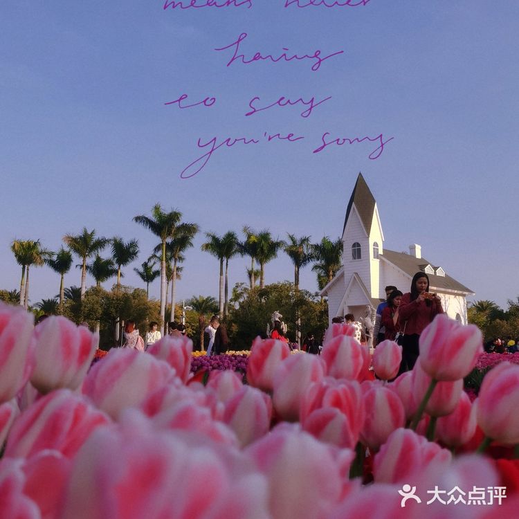 🌷园博苑•荷兰园郁金香•异域风情🌷