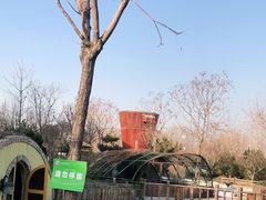 -南宫五洲植物乐园