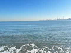 -悦海公园