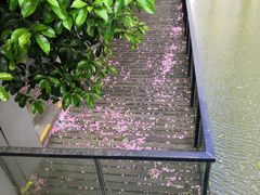 -全家便利店(兴源北路店)