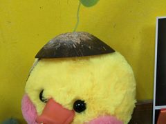 -志龙皇冠吃货椰子铺