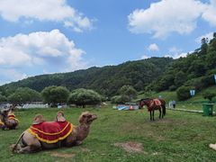 -大水川景区