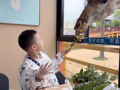 -西霞口神雕山野生动物世界