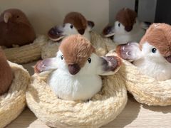 -新加坡飞禽公园