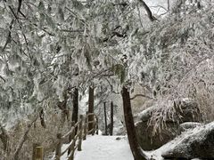 -洛阳白云山景区