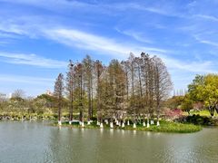 -玄武湖景区-情侣园游乐场