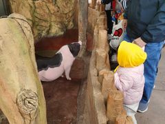 -长鹿旅游休博园