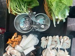 -蘑统田下·野生菌火锅