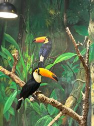 -Zoolung Zoolung动物主题公园(海信广场店)