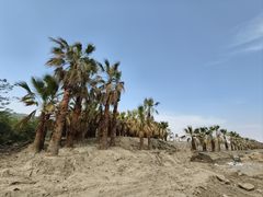 -平湖九龙山旅游度假区