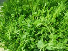 -阳光山水江湖菜馆(西山龙门店)