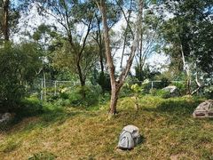 -海南热带野生动植物园