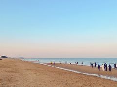 -日照海滨国家森林公园