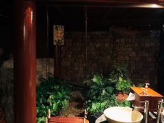 -卷心菜和避孕套餐厅(Pattaya)