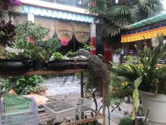 -尼玛藏家风味园(阿山食城店)