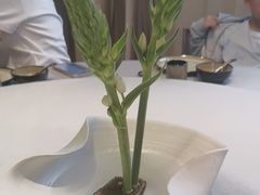 -九福楼大酒店