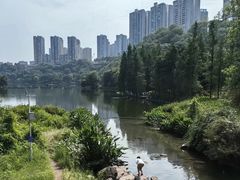 -重庆彩云湖湿地公园