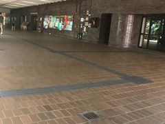 -香港大学