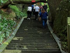 -窦圌山风景区