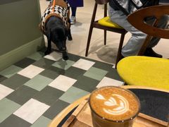 -Peet's Coffee皮爷咖啡(德基店)