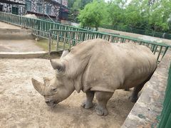 -哈尔滨北方森林动物园