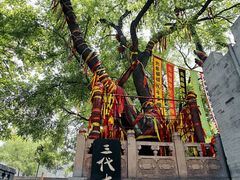 -大槐树寻根祭祖园