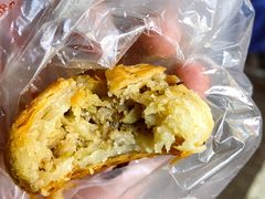 鲜肉榨菜月饼-采芝斋(延安路店)