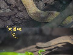 -正佳雨林生态植物园