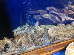 -铭家家宴·海鲜青岛菜·院子餐厅(燕岭路店)
