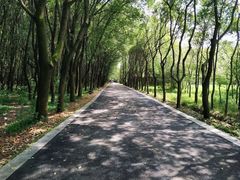 -同里国家湿地公园