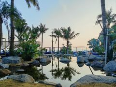 -精酿农场Brew Farm·沙漠绿洲餐厅