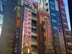 -秋叶原电器街