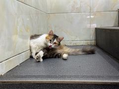 -刘信牛羊肉泡馍小炒(回民街店)