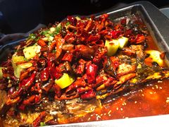 -锦尚阁烤鱼(望京新荟城店)