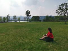 -长田漾湿地公园