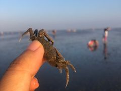 -南汇新城海滩