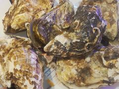 -千家粗粮王(MOMOPARK店)