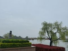 -合肥滨湖国家森林公园
