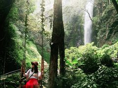 -莫里热带雨林景区