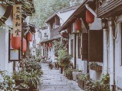 -运河游船(武林门码头)