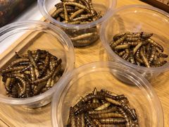 -八一路好吃街(雨田商务大厦店)