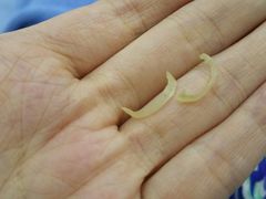 -朋朋修脚(滂江街店)