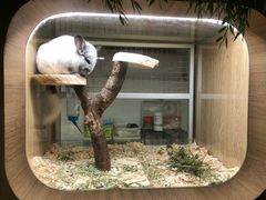 -藦茜花园宠物主题亲子互动体验馆(国顺东路店)