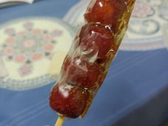 -和禄德冰糖葫芦