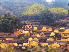 -杨家堂村