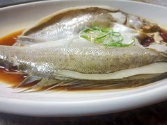 -国芳中心