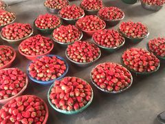 -西郊国际农产品交易中心